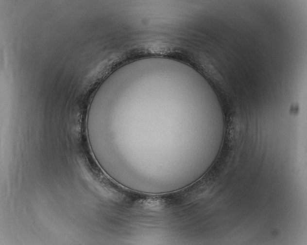 X0000110680639200906261322