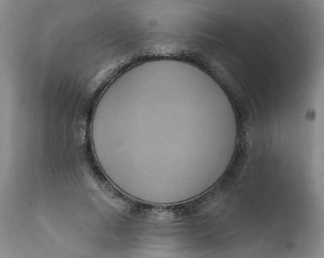 X0000110680640200906261322