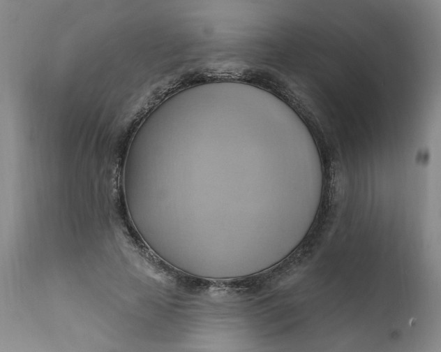 X0000110680641200906261322