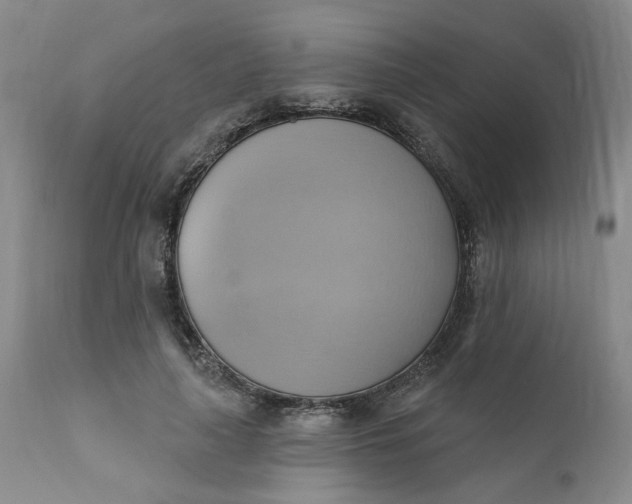 X0000110680643200906261322