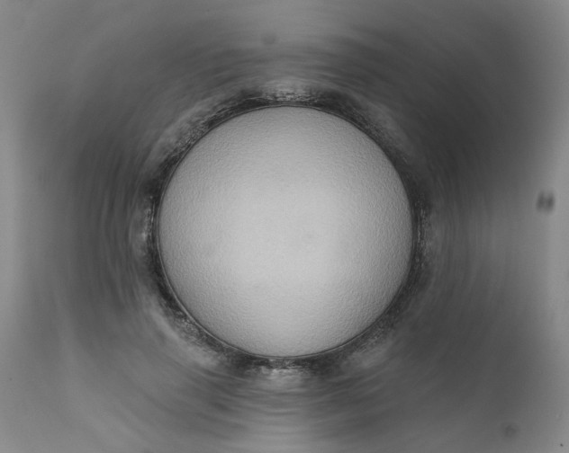 X0000110680645200906261322