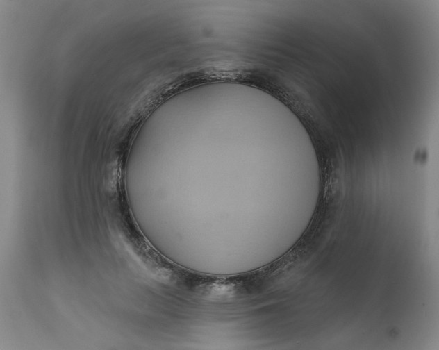 X0000110680647200906261322