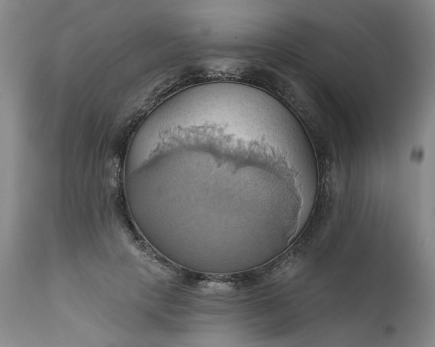 X0000110680649200906261322