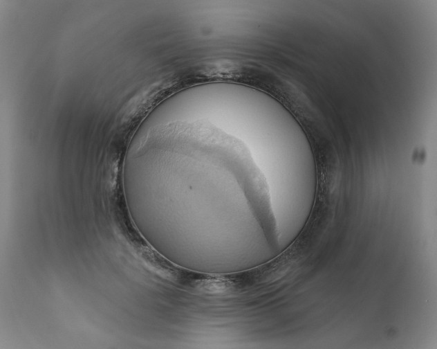 X0000110680652200906261322