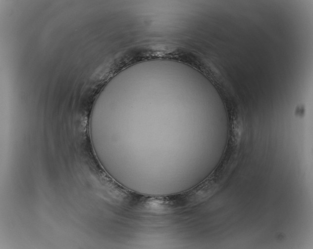 X0000110680657200906261322