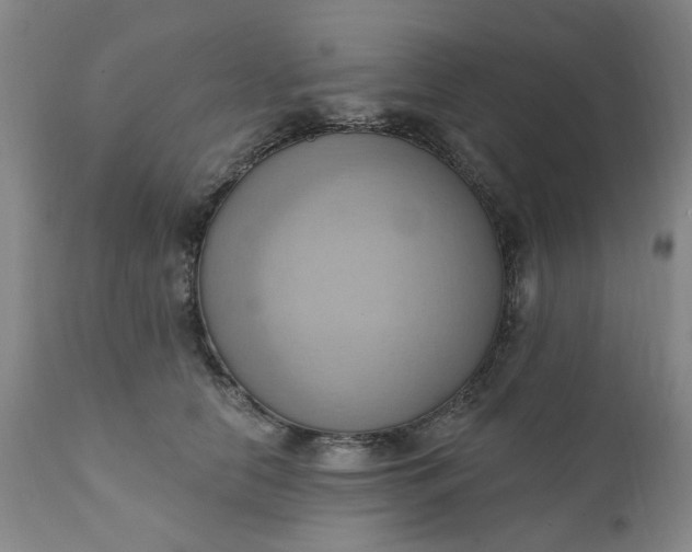 X0000110680658200906261322