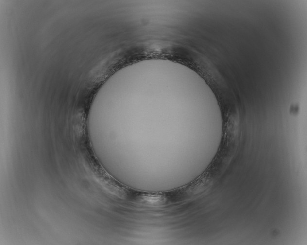 X0000110680659200906261322