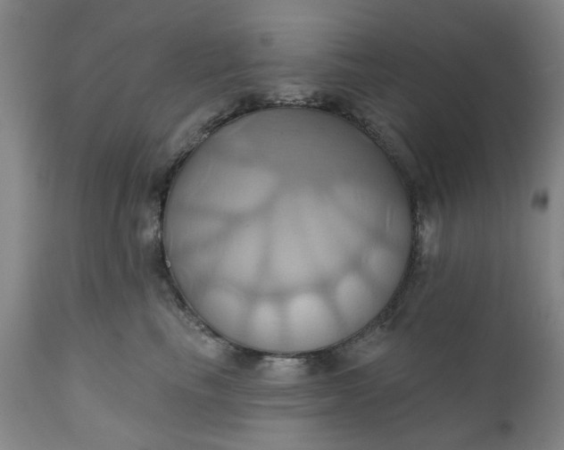 X0000110680665200906261322