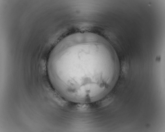 X0000110680667200906261322