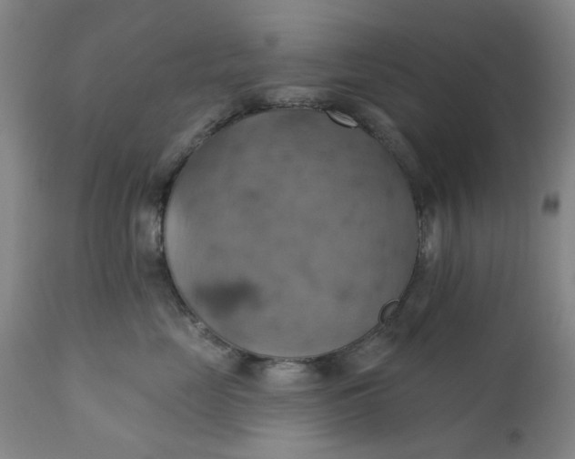 X0000110680669200906261322