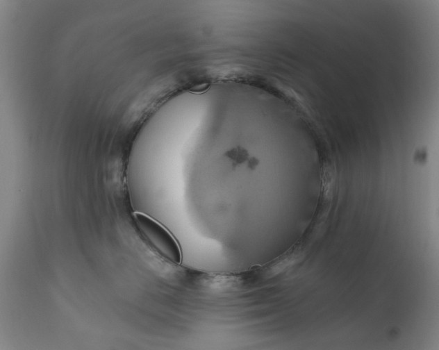 X0000110680670200906261322