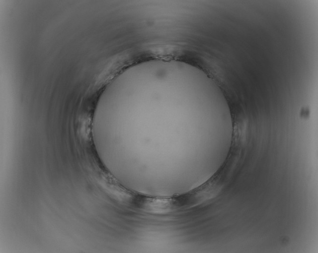 X0000110680671200906261322