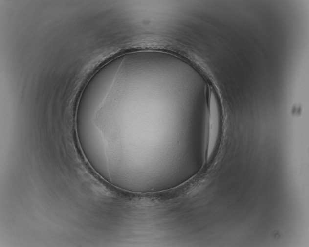 X0000110680673200906261321