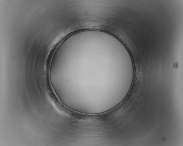 X0000110680674200906261321