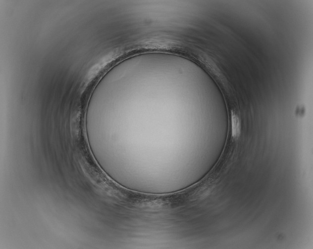 X0000110680675200906261321