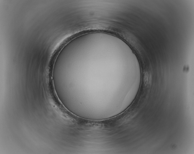 X0000110680676200906261321