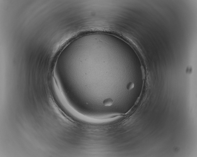 X0000110680677200906261321