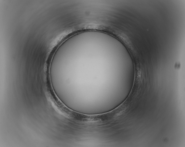 X0000110680678200906261321