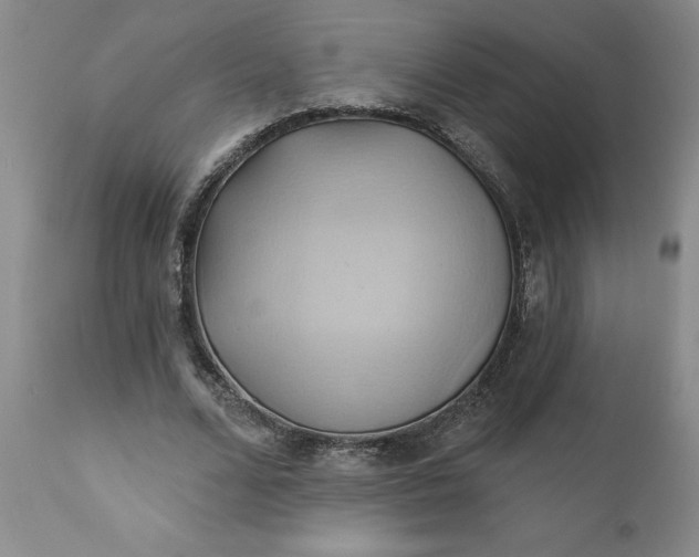 X0000110680680200906261321