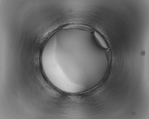 X0000110680681200906261321