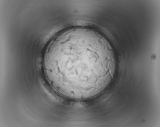 X0000110680683200906261321