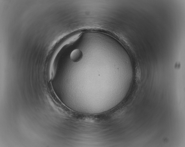 X0000110680684200906261321