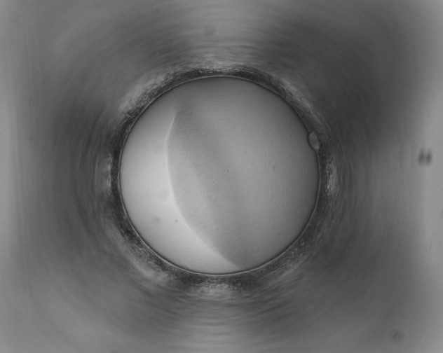 X0000110680685200906261321