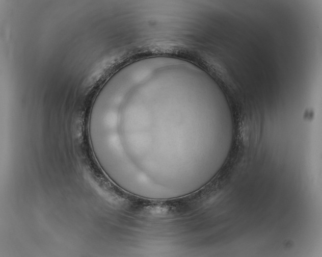 X0000110680687200906261321