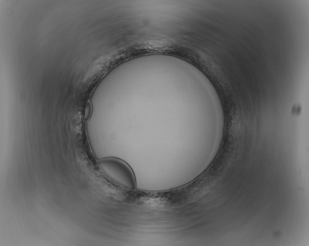 X0000110680689200906261321