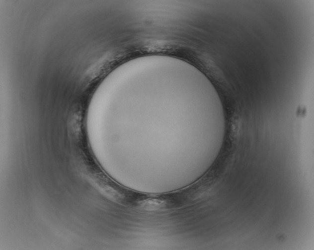 X0000110680691200906261321