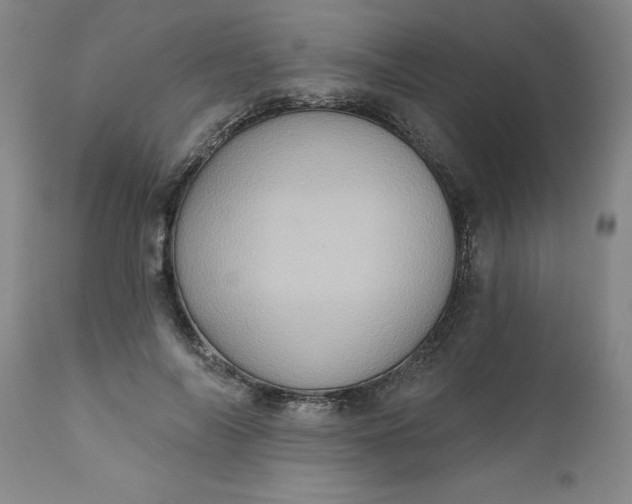 X0000110680694200906261321