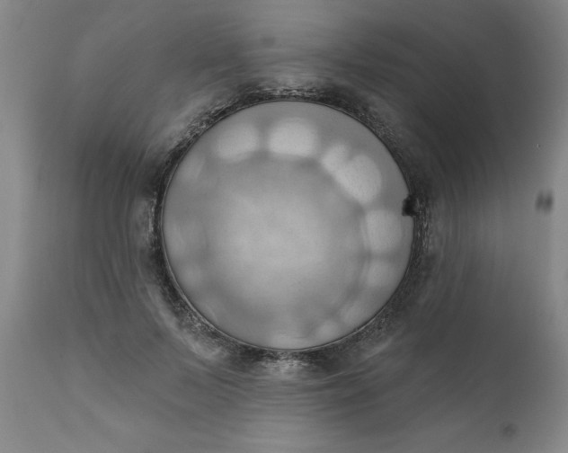 X0000110680695200906261321