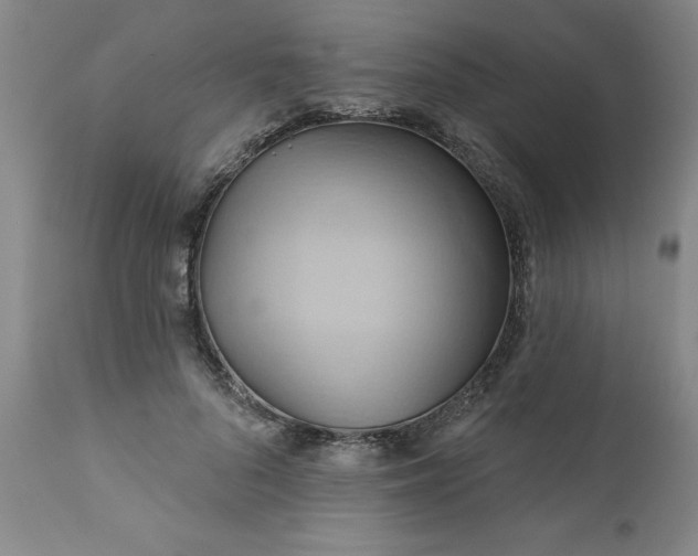 X0000110680696200906261321