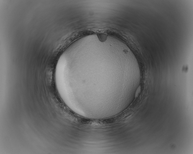 X0000110680697200906261321