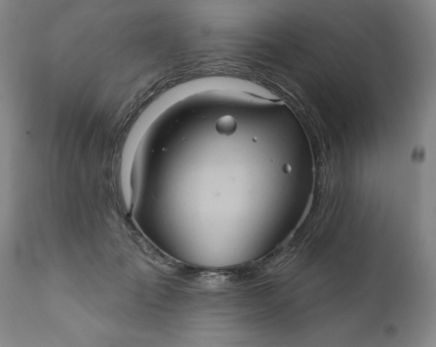 X0000110680701200906261321