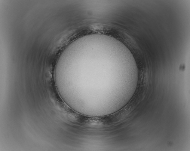 X0000110680702200906261321