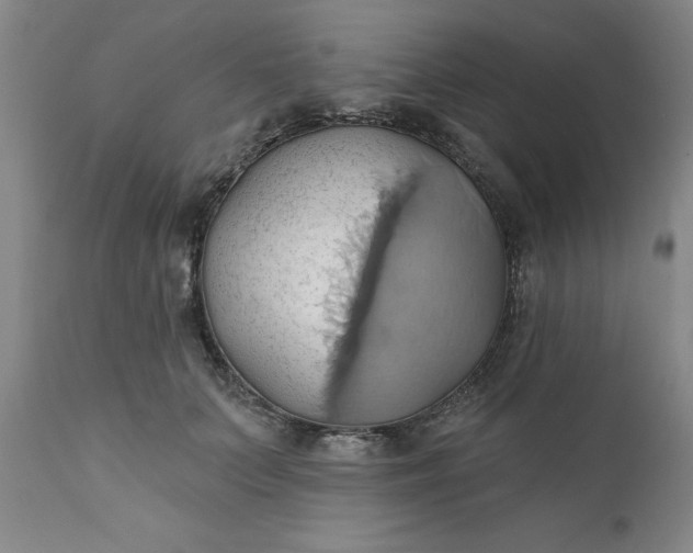 X0000110680703200906261321