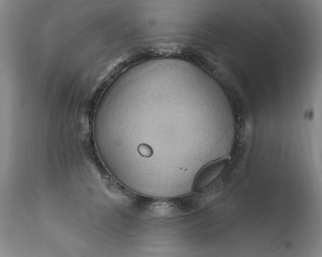 X0000110680704200906261321