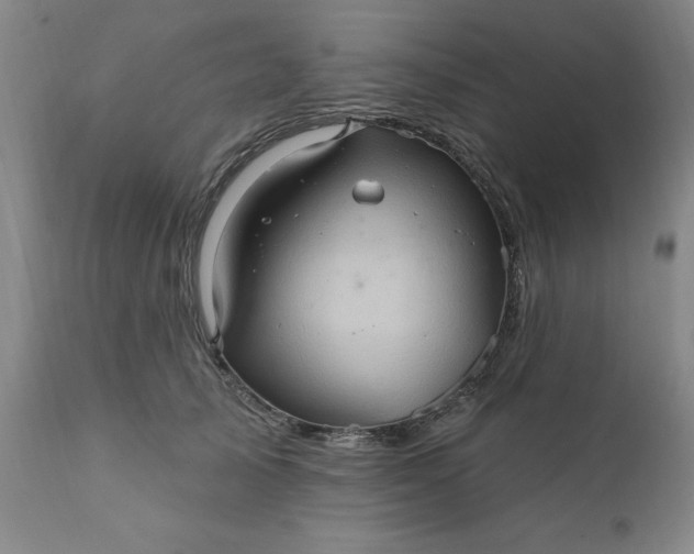 X0000110680705200906261321