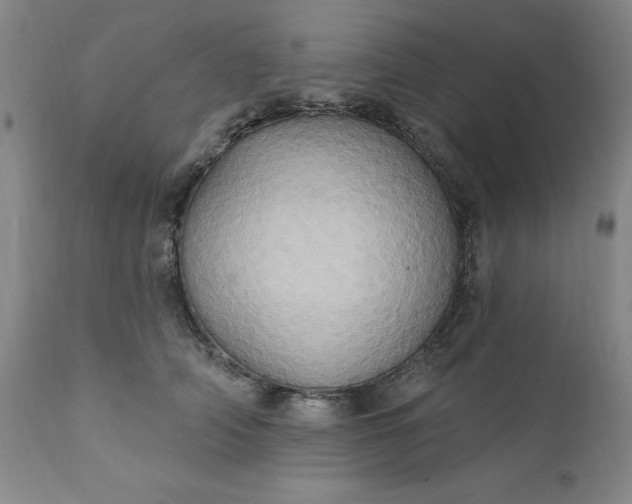 X0000110680706200906261321