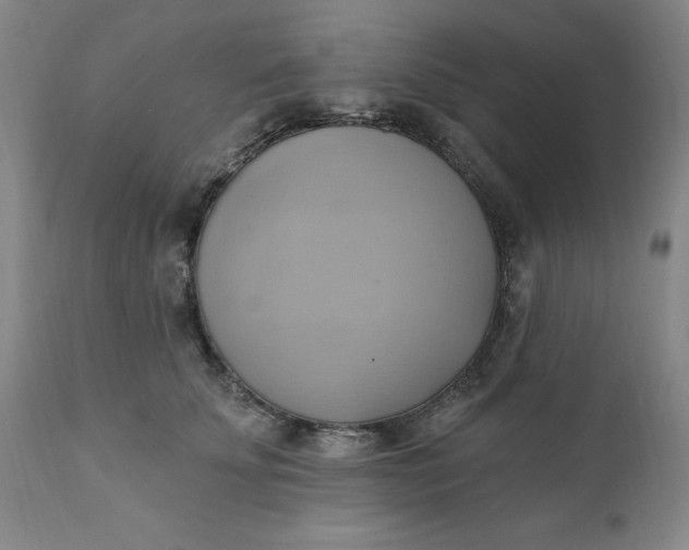 X0000110680707200906261321