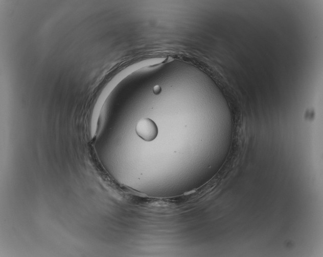 X0000110680708200906261321