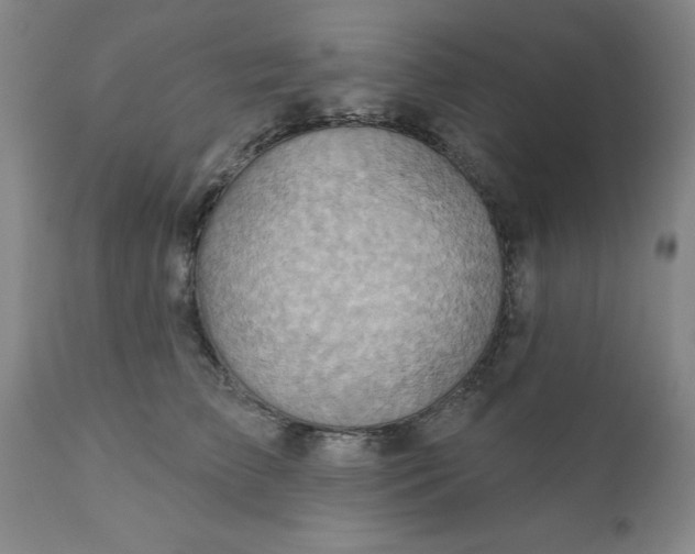 X0000110680709200906261321