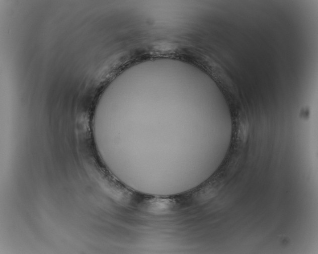 X0000110680711200906261321