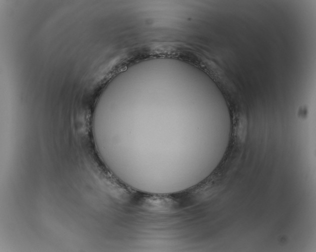 X0000110680712200906261321