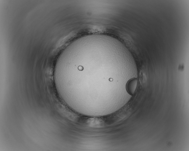 X0000110680714200906261321