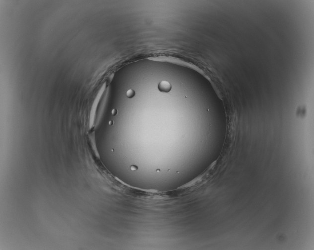 X0000110680716200906261321