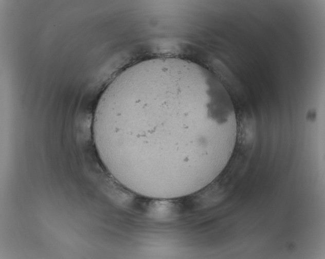 X0000110680717200906261321