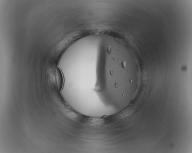 X0000110680719200906261321