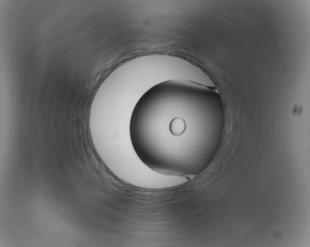 X0000110680720200906261321